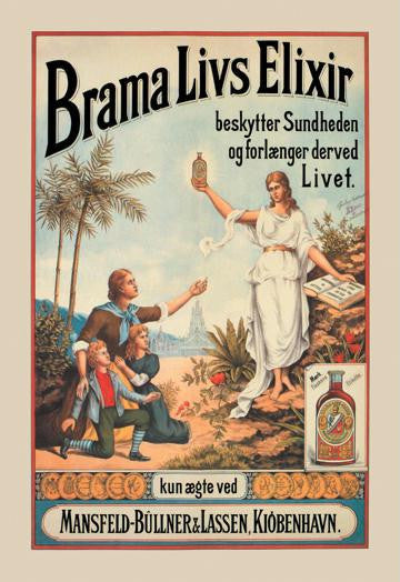 Brama Livs Elixir 20x30 poster