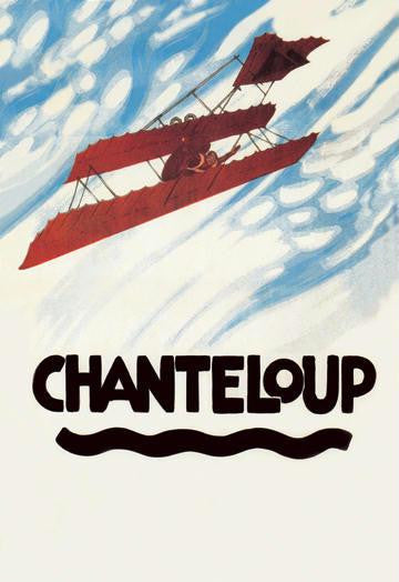 Biplane Executes a Loop 20x30 poster