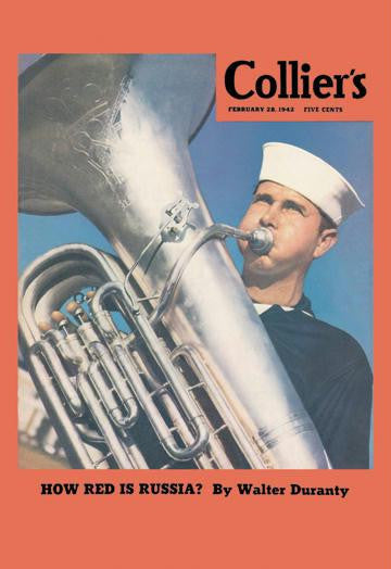 Navy Tuba Player 20x30 poster