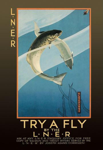 Try a Fly 20x30 poster