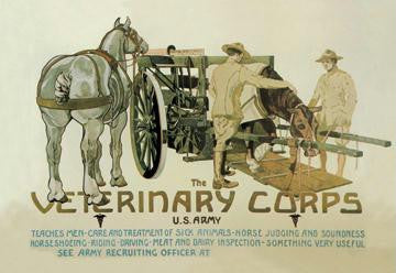 The Veterinary Corps. U.S. Army 20x30 poster