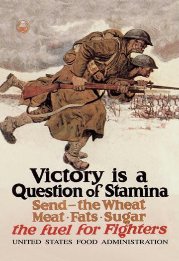 Victory is a Question of Stamina 20x30 poster