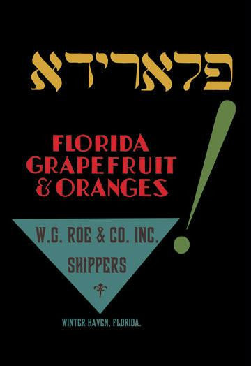 Florida Grapefruit and Oranges 20x30 poster