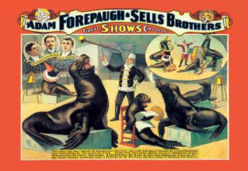 Troupe of Marvelously Educated Sea Lions and Seals: Adam Forepaugh and Sells Brothers Shows 20x30 poster