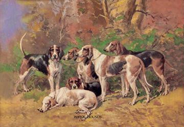 Poitou Hounds 24x36 Giclee