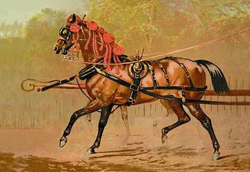 State Carriage Horse 24x36 Giclee