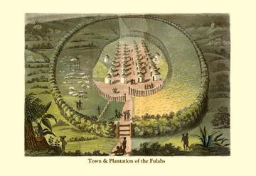 Town and Plantation of the Fulahs 24x36 Giclee