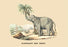 Elephant d&#39;Inde 24x36 Giclee