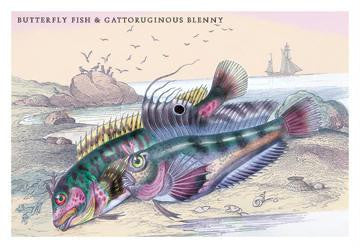 Butterfly Fish and Gattoruginous Blenny 24x36 Giclee