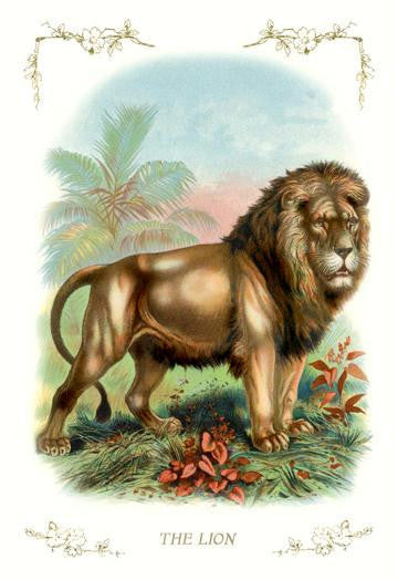 The Lion 24x36 Giclee