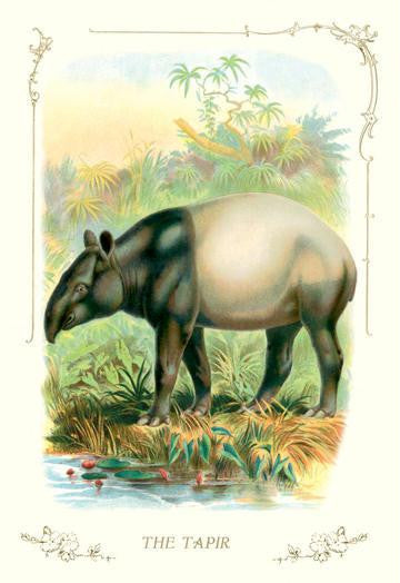 The Tapir 24x36 Giclee