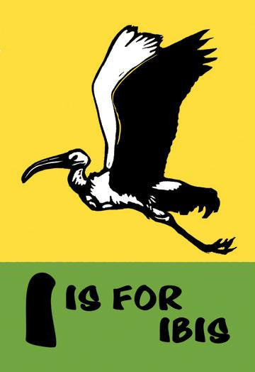 I is for Ibis 24x36 Giclee