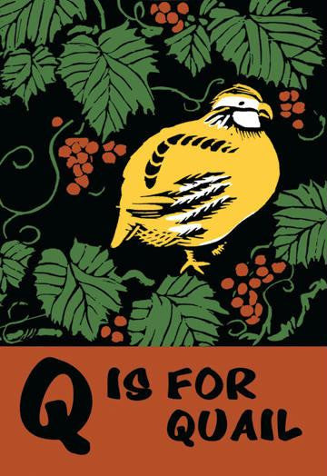 Q is for Quail 24x36 Giclee