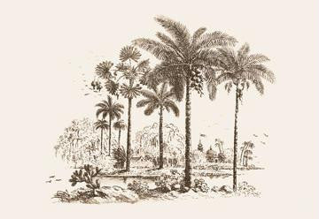 Palm Trees 24x36 Giclee