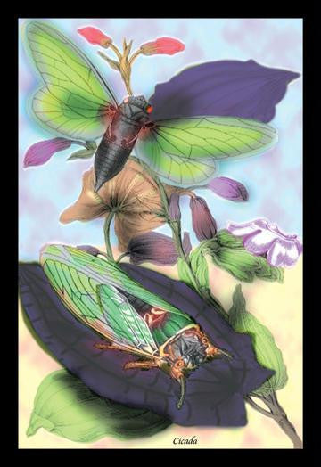 Cicada 24x36 Giclee