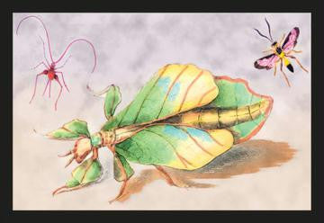 Three Insect Examples 24x36 Giclee