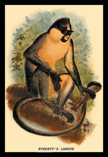 Everett's Langur 24x36 Giclee
