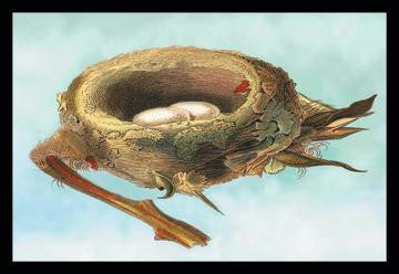 Nest with Eggs 24x36 Giclee