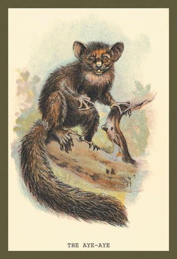 The Aye-Aye 24x36 Giclee