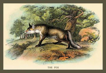 The Fox 24x36 Giclee