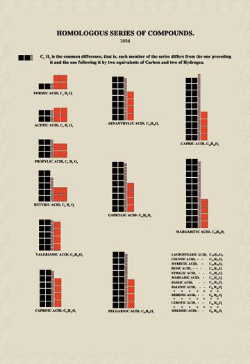 Homolgous Series of Compounds 24x36 Giclee