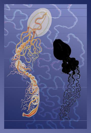 A Pair of Jellyfish 24x36 Giclee — Birds Eye Blue.com