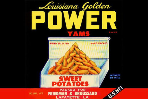 Louisiana Golden Power Yams 24x36 Giclee