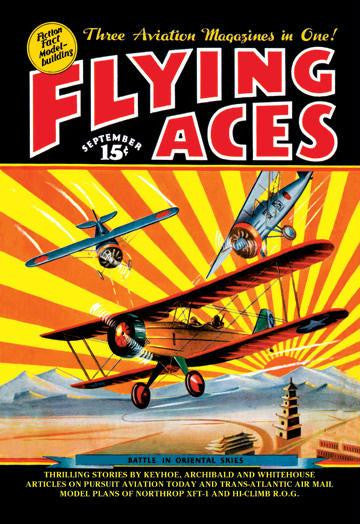 Flying Aces over the Rising Sun 28x42 Giclee on Canvas