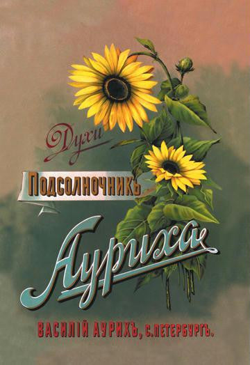 Sunflower perfume fragrance 28x42 Giclee on Canvas