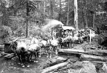 Loggers and Their Logs 28x42 Giclee on Canvas