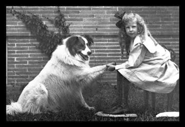 Girl Shaking Hands with Dog 28x42 Giclee on Canvas