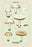 Edible Fungi: Common Mushroom 28x42 Giclee on Canvas