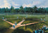 Baseball Diamond 28x42 Giclee on Canvas