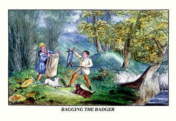 Bagging the Badger 28x42 Giclee on Canvas