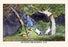 Hunting the Marten-Cat 28x42 Giclee on Canvas