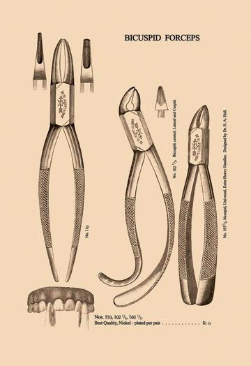 Bicuspid Forceps 28x42 Giclee on Canvas