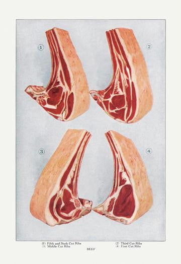 Beef: Ribs 28x42 Giclee on Canvas