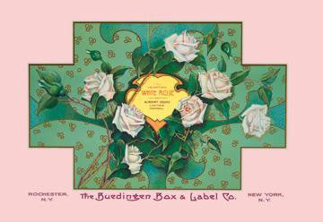 White Rose Soap 28x42 Giclee on Canvas