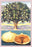 Fig Tree 28x42 Giclee on Canvas