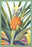 Pineapple 28x42 Giclee on Canvas