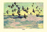 Eiders 28x42 Giclee on Canvas