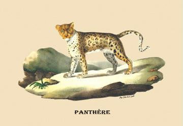 Panthere (Panther) 28x42 Giclee on Canvas