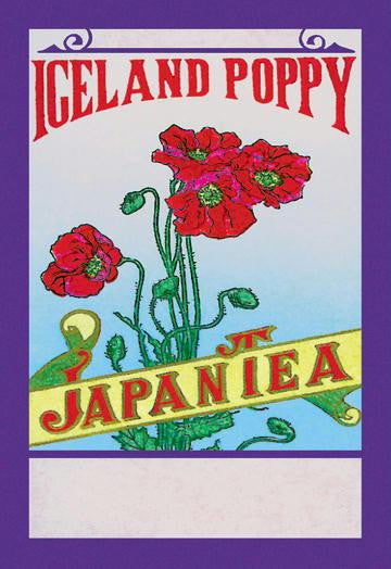 Iceland Poppy Tea 28x42 Giclee on Canvas