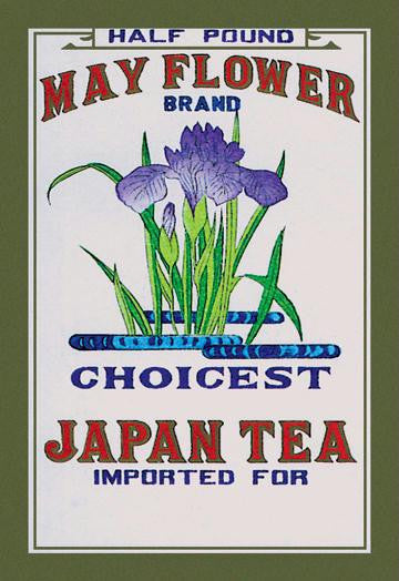 May Flower Brand Tea 28x42 Giclee on Canvas