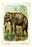 The Elephant 28x42 Giclee on Canvas