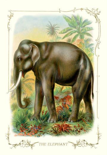 The Elephant 28x42 Giclee on Canvas