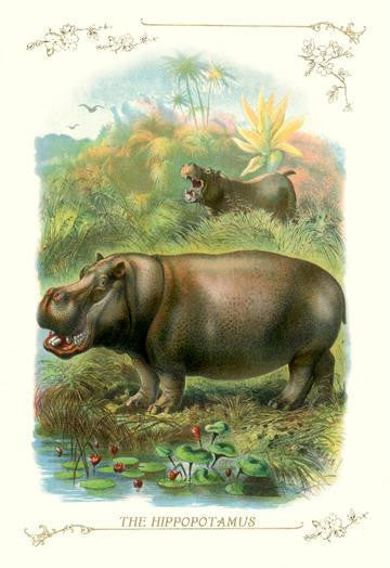 The Hippopotamus 28x42 Giclee on Canvas