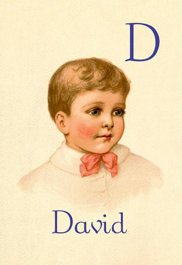 D for David 28x42 Giclee on Canvas