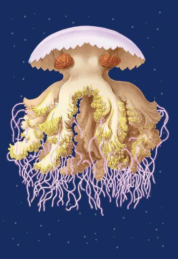 Astro-Jellyfish 28x42 Giclee on Canvas