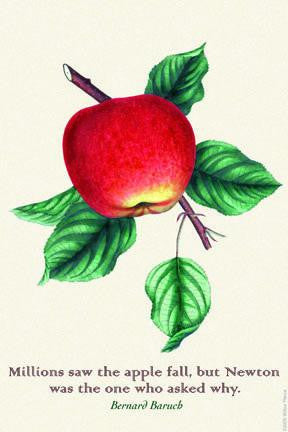 Millions Saw the Apple Fall 28x42 Giclee on Canvas